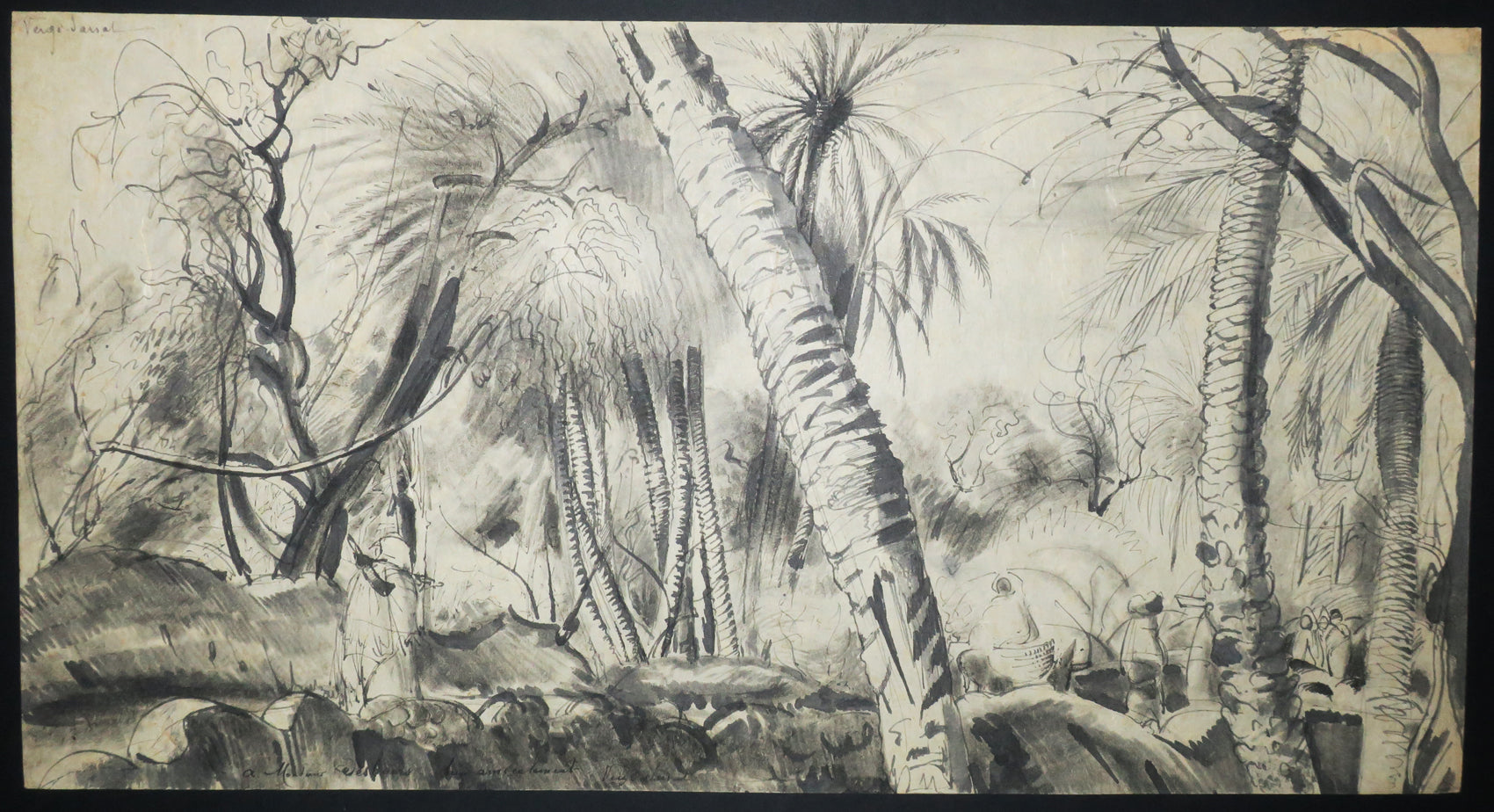 Dans les jardins de Gafsa (Tunisie).