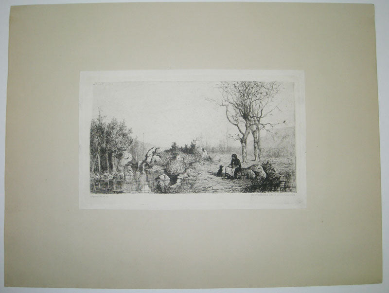Bords du ruisseau à Rossillon (Ain).