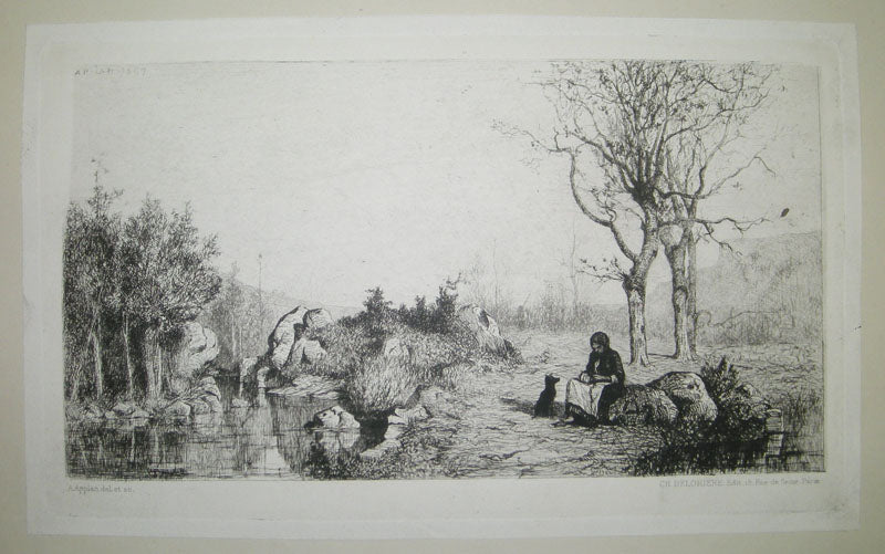 Bords du ruisseau à Rossillon (Ain).