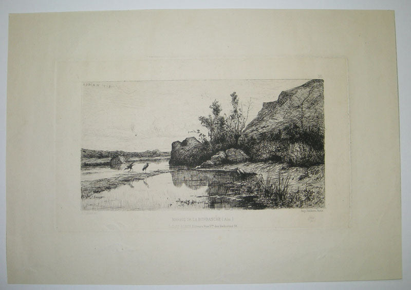 Marais de la Burbanche (Ain).