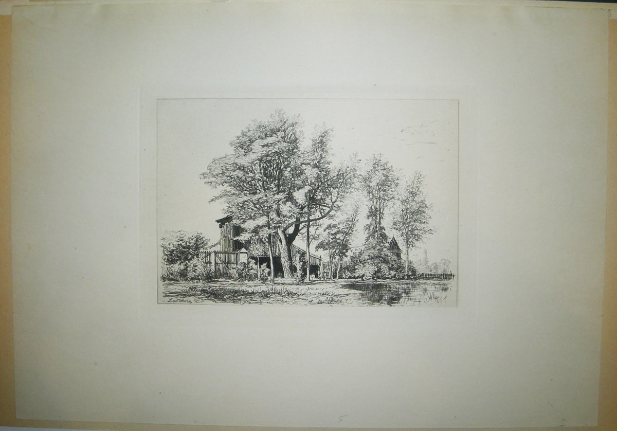 Les Acacias.
