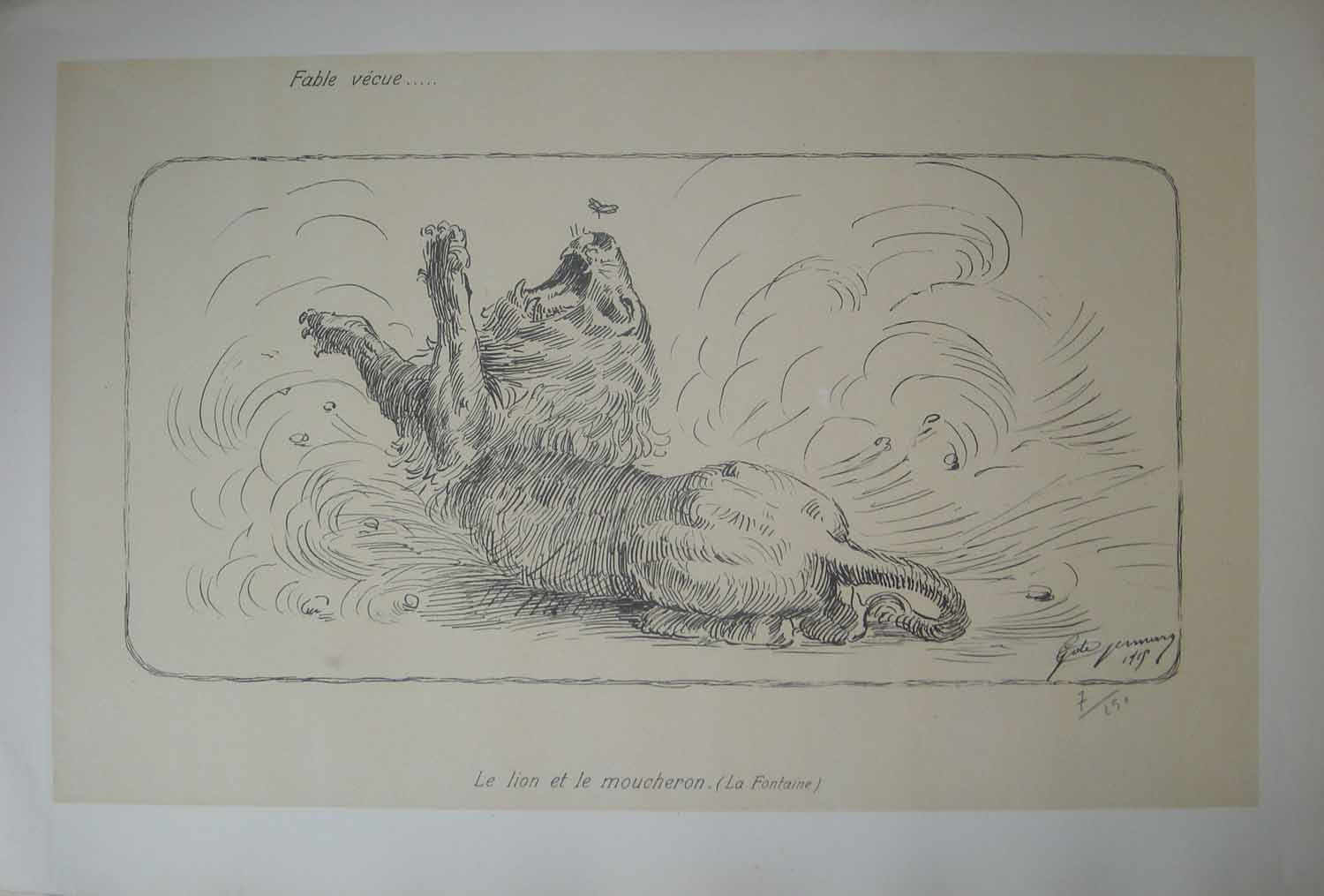 Fable vécue - Le lion et le moucheron.