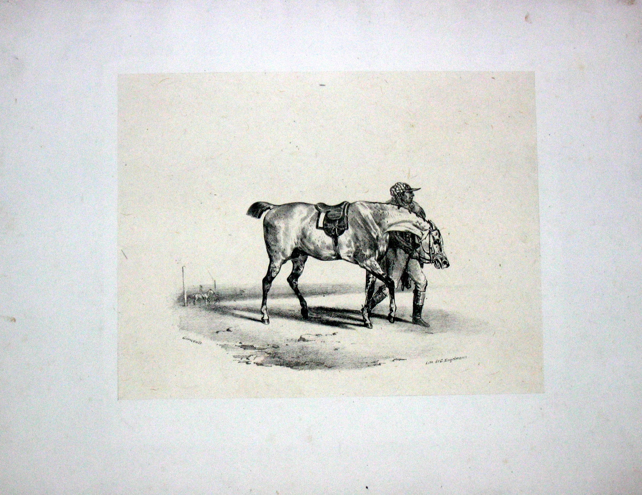 Cheval que l'on promène avant la course.