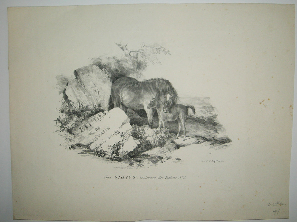 La jument et son poulain (Frontispice).