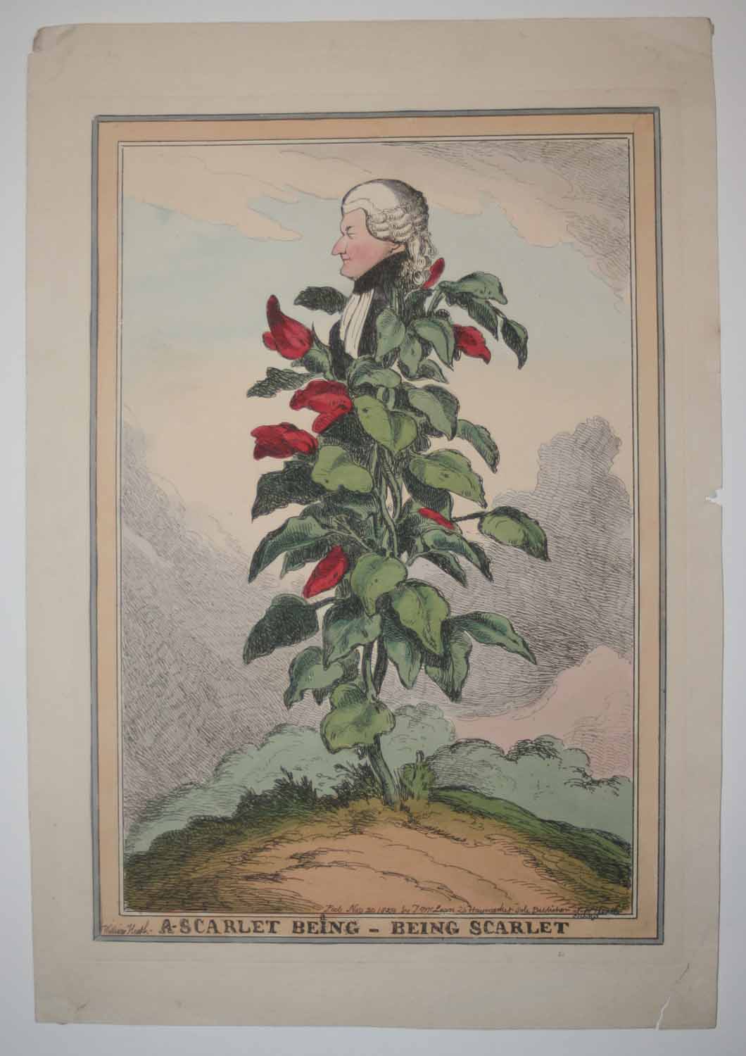 A scarlet bean - being scarlet.