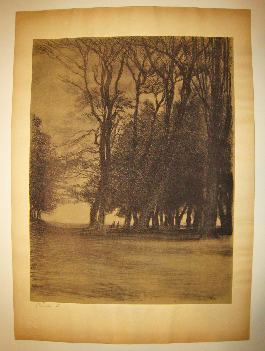 Bouquet d'arbres.