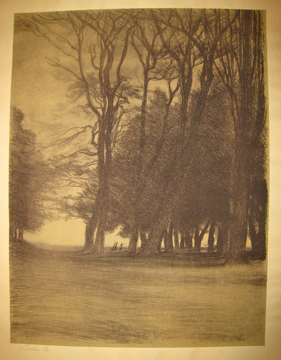 Bouquet d'arbres.