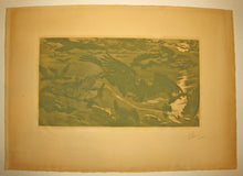 Charger l'image dans la galerie, Oiseaux de proie.