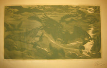 Charger l'image dans la galerie, Oiseaux de proie.