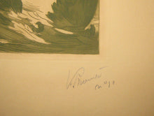 Charger l'image dans la galerie, Oiseaux de proie.