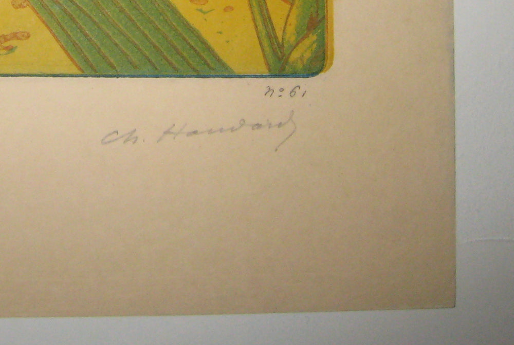 Grenouille et Iris.