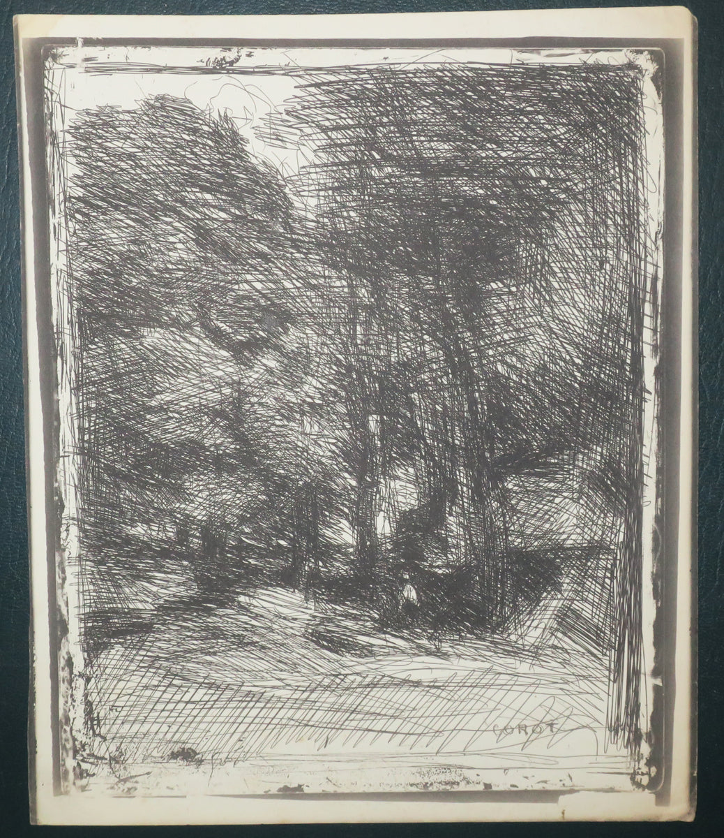 Forêt de Fontainebleau ou Les Cerfs du Bas-Bréau.