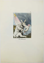 Charger l'image dans la galerie, De hibernacion.