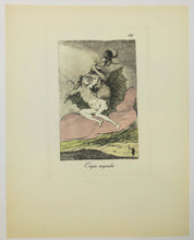 Charger l'image dans la galerie, Oreja mojada.