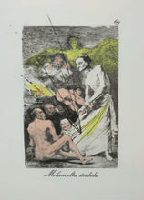 Charger l'image dans la galerie, Melancolia sordida.