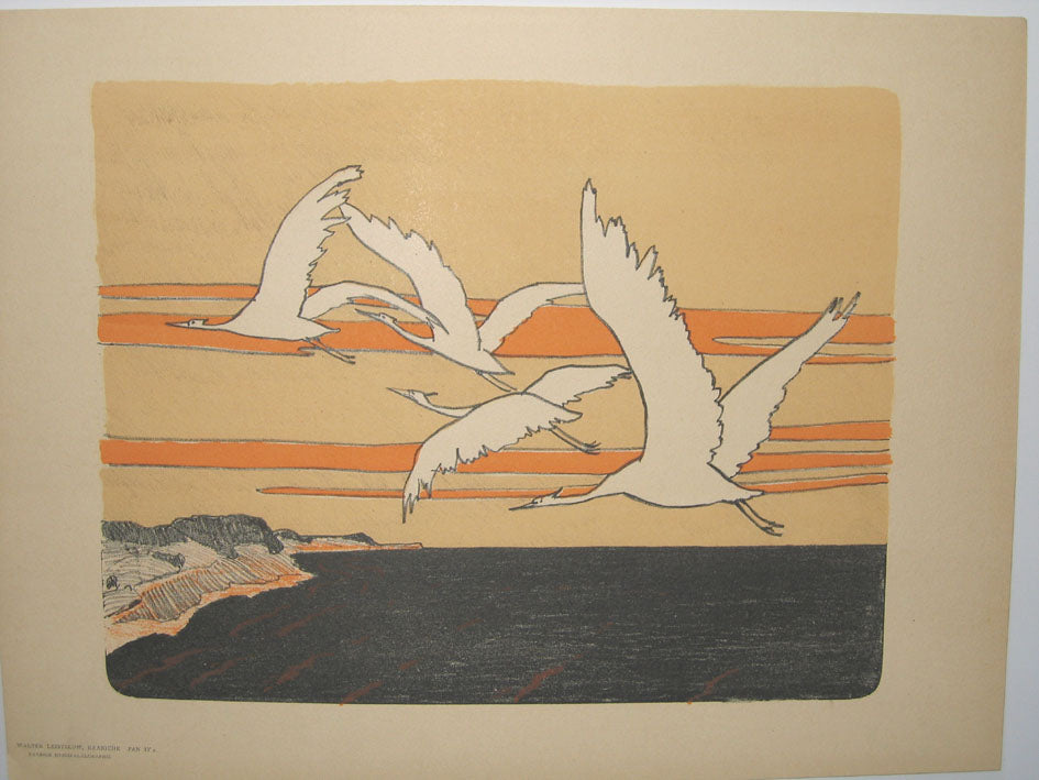 Vol d'oiseau.