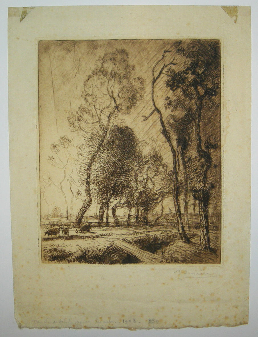 Couché de soleil derrière les arbres.