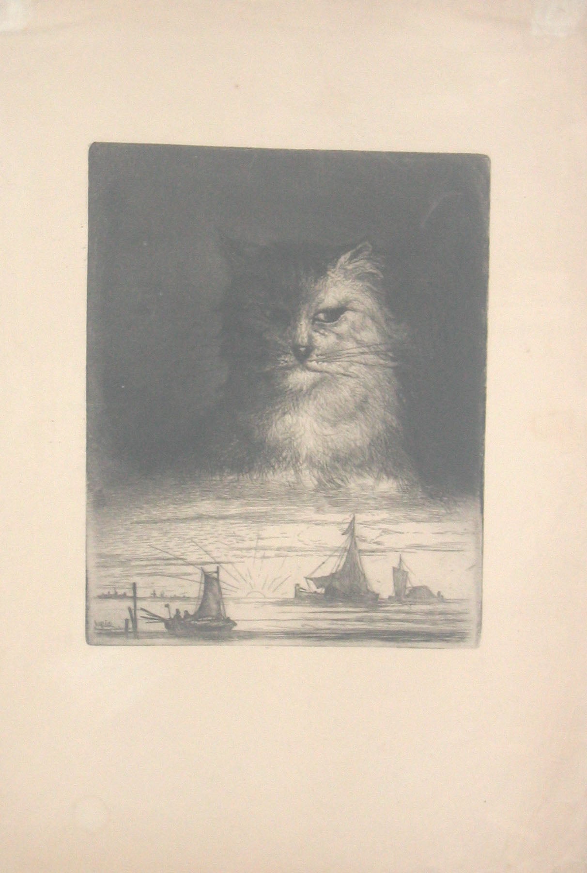Tête de chat avec des bateaux au dessous.