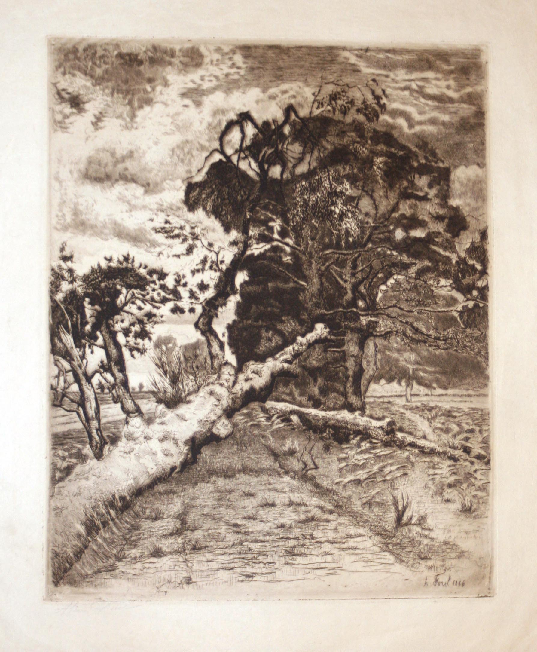 Le tronc coupé (jour de pluie).