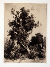 Charger l'image dans la galerie, Six Eaux-fortes par Hervier.