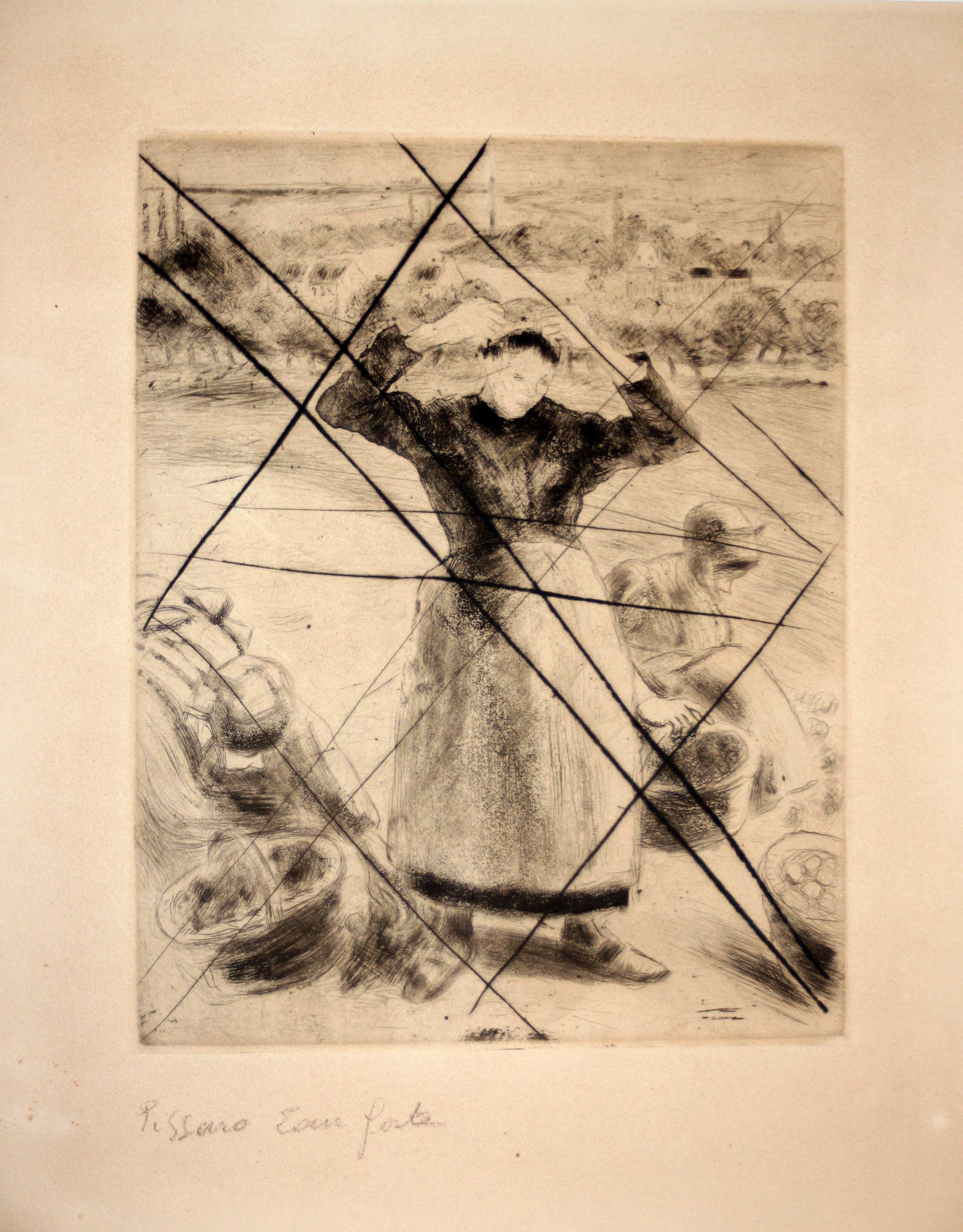 Récolte de pommes de terre.