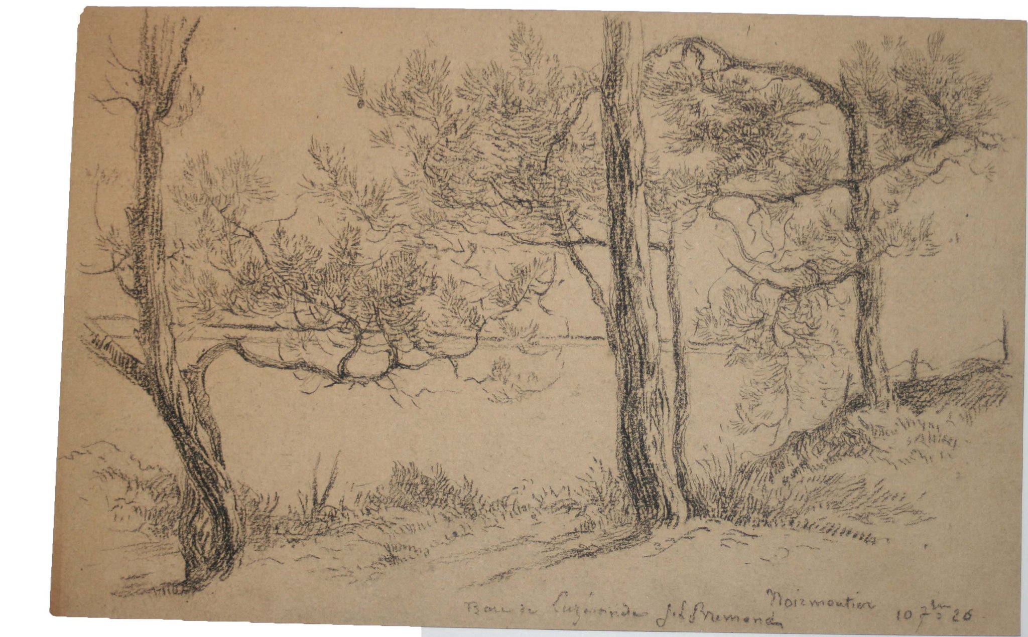 Baie à Noirmoutier.