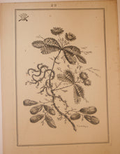 Charger l'image dans la galerie, Fleurs Idéalle inventée et dessinée par Jean Pillement, Premier peintre du Roy de Pologne et gravée par Edouard Gautier Dagoty.