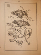 Charger l'image dans la galerie, Fleurs Idéalle inventée et dessinée par Jean Pillement, Premier peintre du Roy de Pologne et gravée par Edouard Gautier Dagoty.