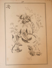 Charger l'image dans la galerie, Fleurs Idéalle inventée et dessinée par Jean Pillement, Premier peintre du Roy de Pologne et gravée par Edouard Gautier Dagoty.