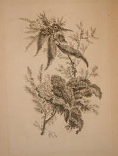 Charger l'image dans la galerie, Recueil de Nouvelles Fleurs de goût; pour la Manufacture des Etoffes de Perse, inventées et dessinées par Jean Pillement, peintre de Sa Majesté, le Roi de Pologne.