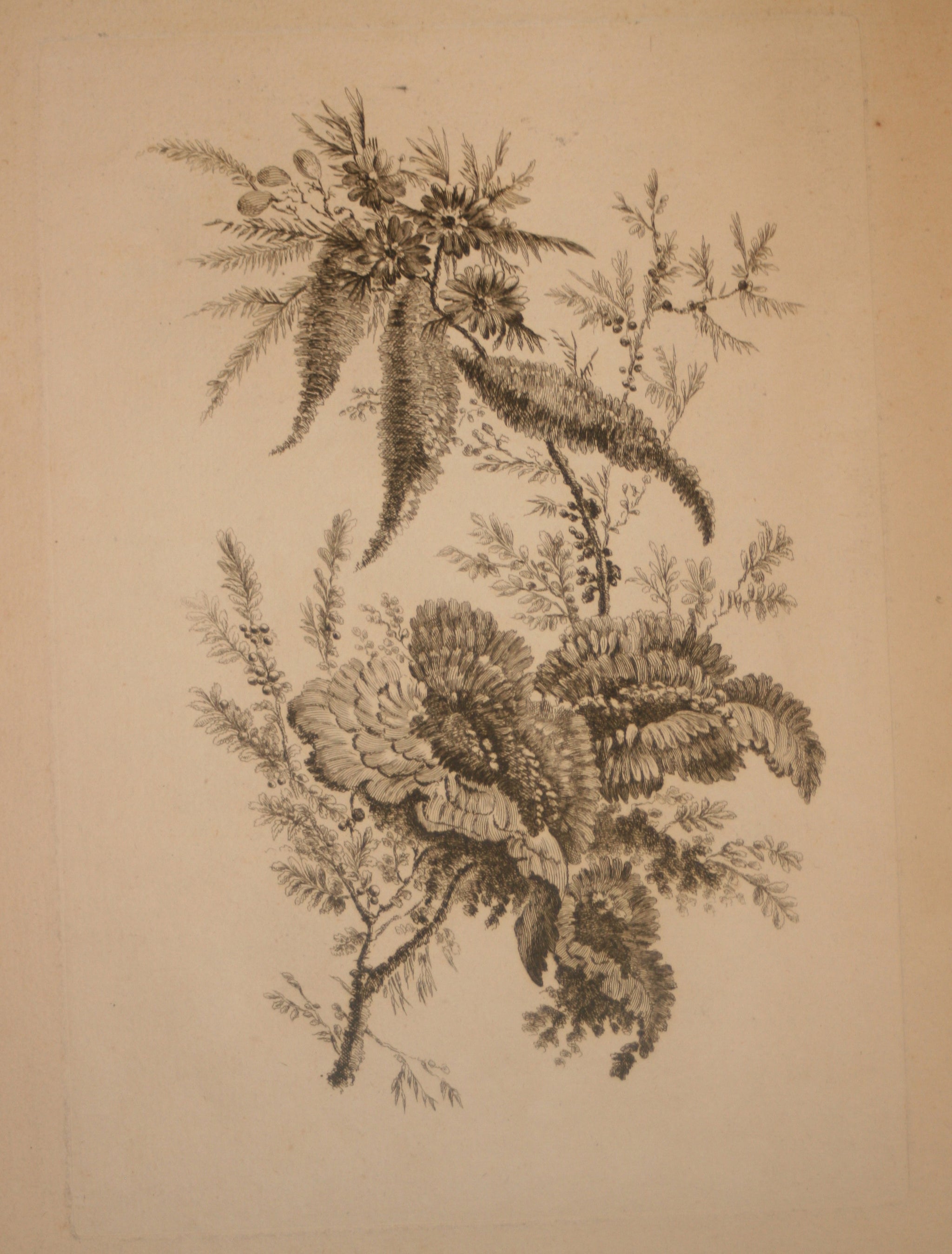 Recueil de Nouvelles Fleurs de goût; pour la Manufacture des Etoffes de Perse, inventées et dessinées par Jean Pillement, peintre de Sa Majesté, le Roi de Pologne.