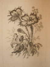 Charger l'image dans la galerie, Recueil de Nouvelles Fleurs de goût; pour la Manufacture des Etoffes de Perse, inventées et dessinées par Jean Pillement, peintre de Sa Majesté, le Roi de Pologne.