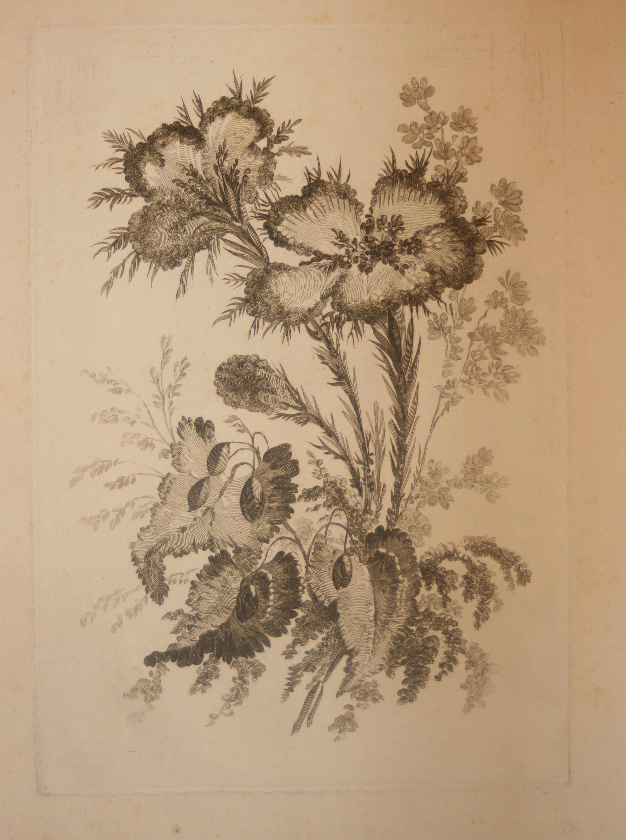 Recueil de Nouvelles Fleurs de goût; pour la Manufacture des Etoffes de Perse, inventées et dessinées par Jean Pillement, peintre de Sa Majesté, le Roi de Pologne.
