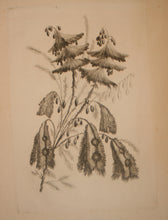 Charger l'image dans la galerie, Recueil de Nouvelles Fleurs de goût; pour la Manufacture des Etoffes de Perse, inventées et dessinées par Jean Pillement, peintre de Sa Majesté, le Roi de Pologne.