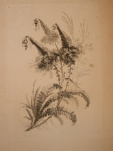 Charger l'image dans la galerie, Recueil de Nouvelles Fleurs de goût; pour la Manufacture des Etoffes de Perse, inventées et dessinées par Jean Pillement, peintre de Sa Majesté, le Roi de Pologne.