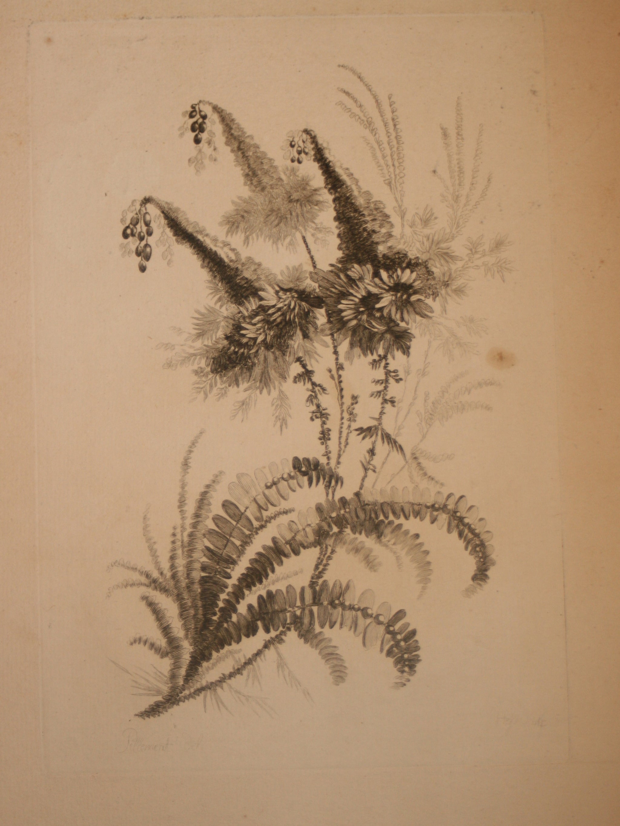 Recueil de Nouvelles Fleurs de goût; pour la Manufacture des Etoffes de Perse, inventées et dessinées par Jean Pillement, peintre de Sa Majesté, le Roi de Pologne.