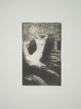 Charger l'image dans la galerie, Passage d'une âme.