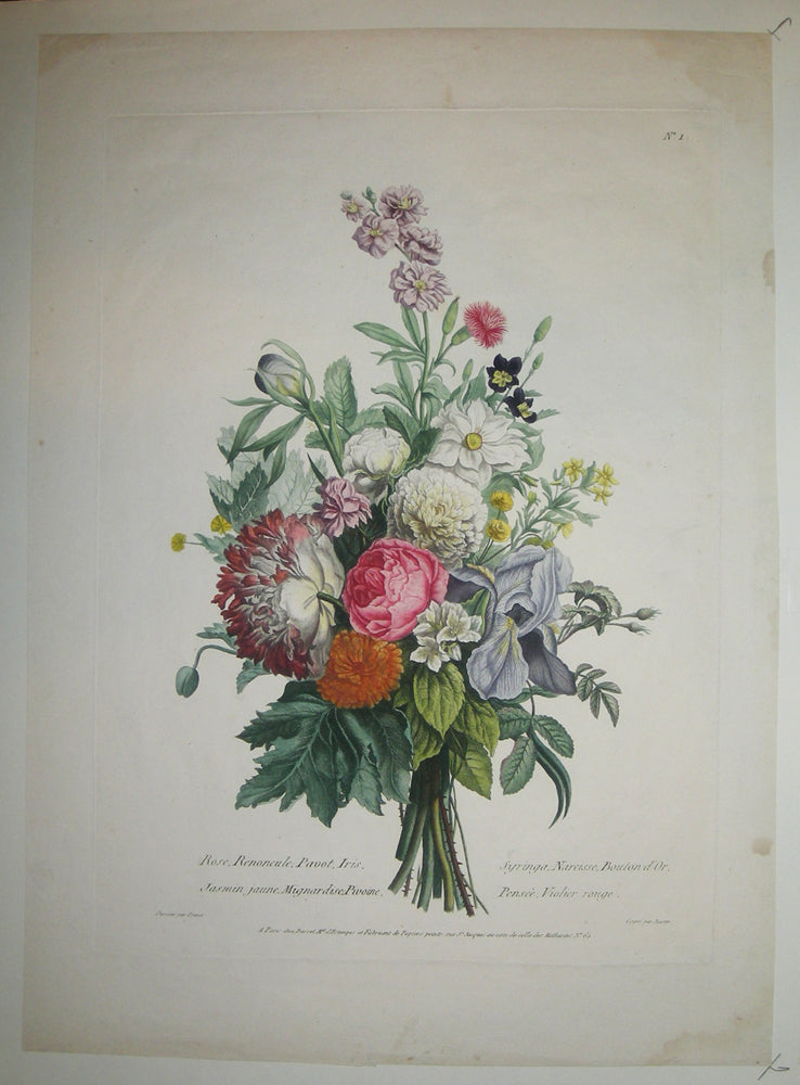 Rose, Renoncule, Pavot, Iris.