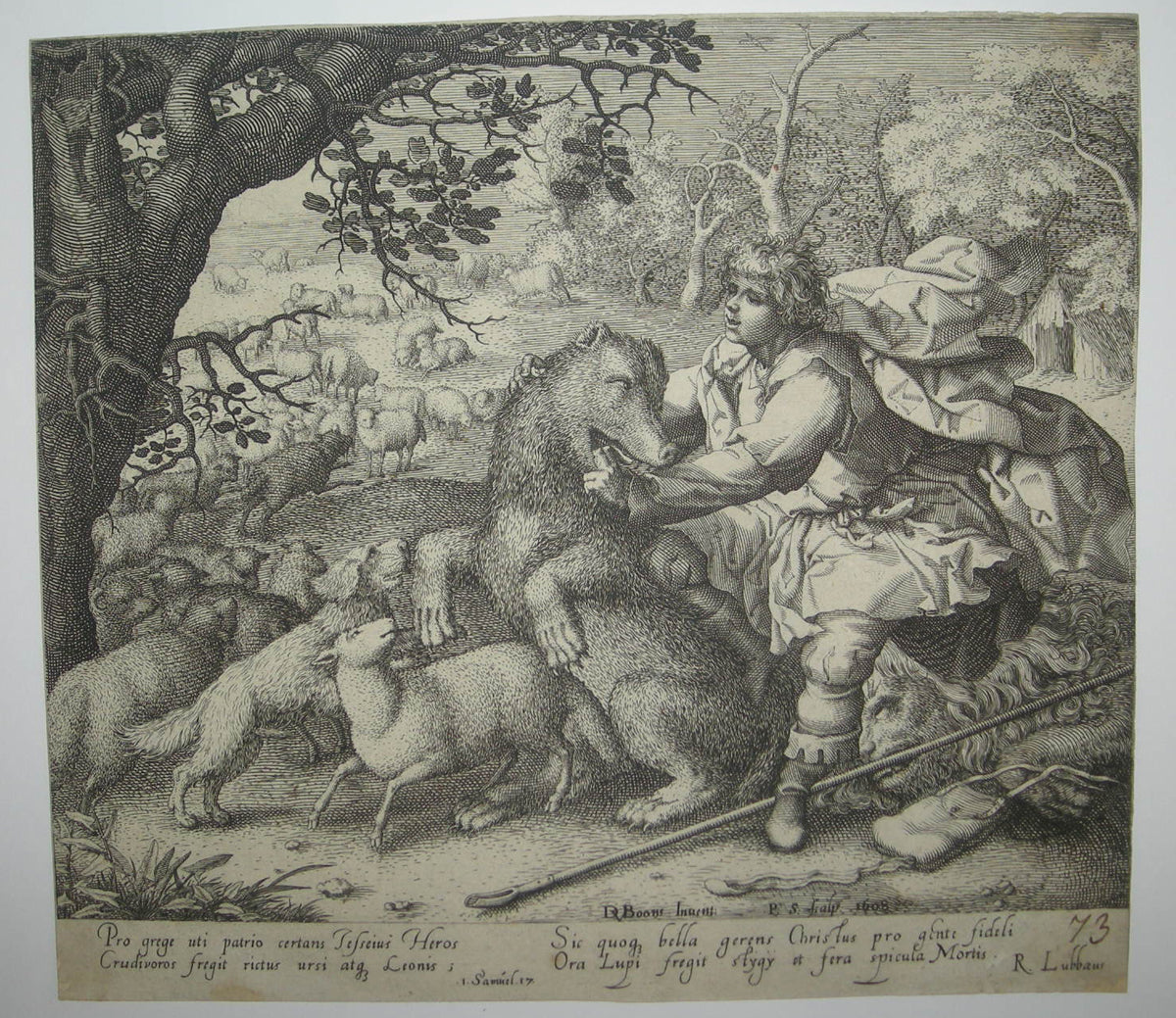 David domptant l'ours.