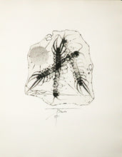 Charger l'image dans la galerie, Mythologie, Gravures originales de Trémois. 1971.