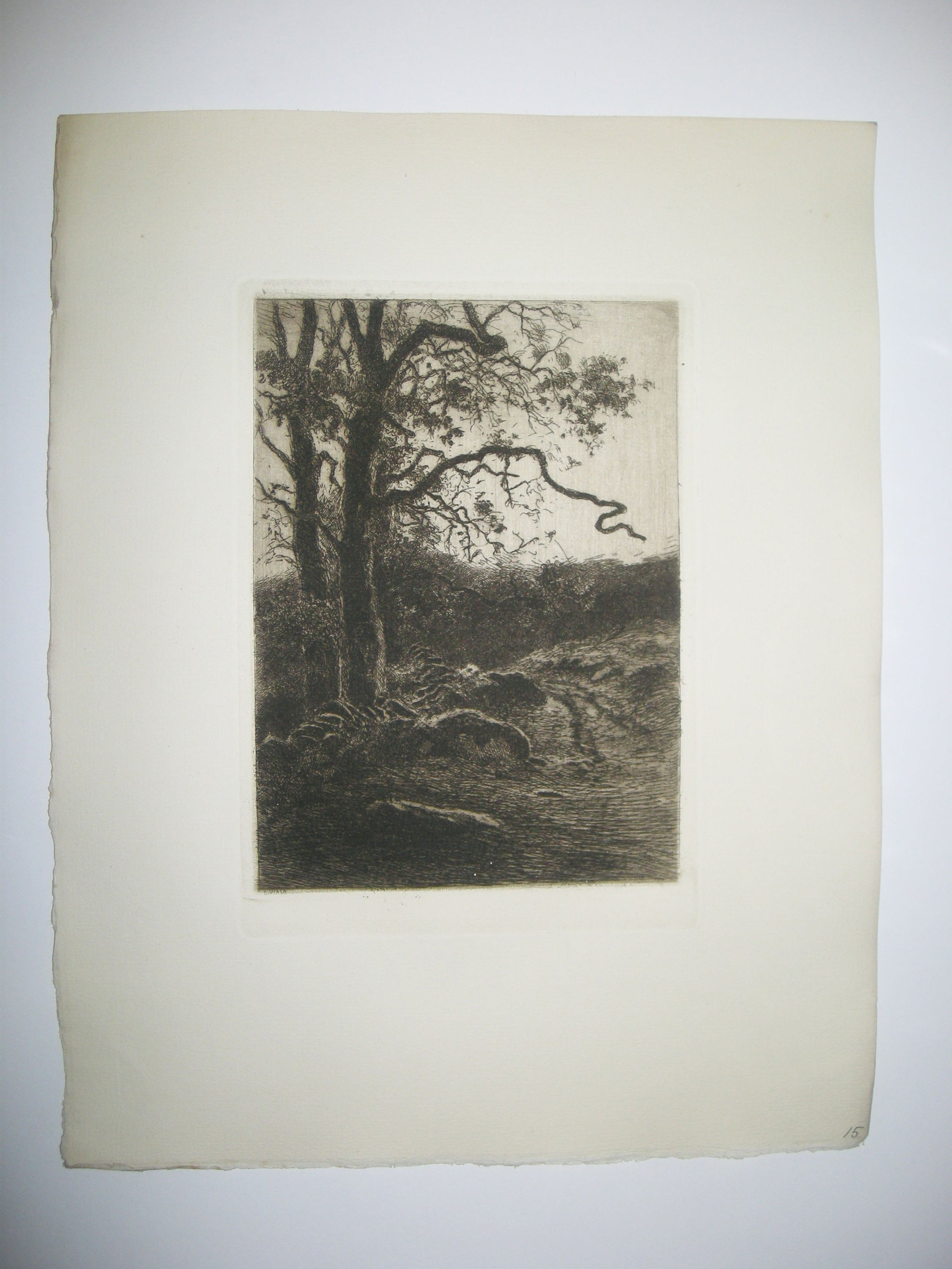 Gestes de la Terre.