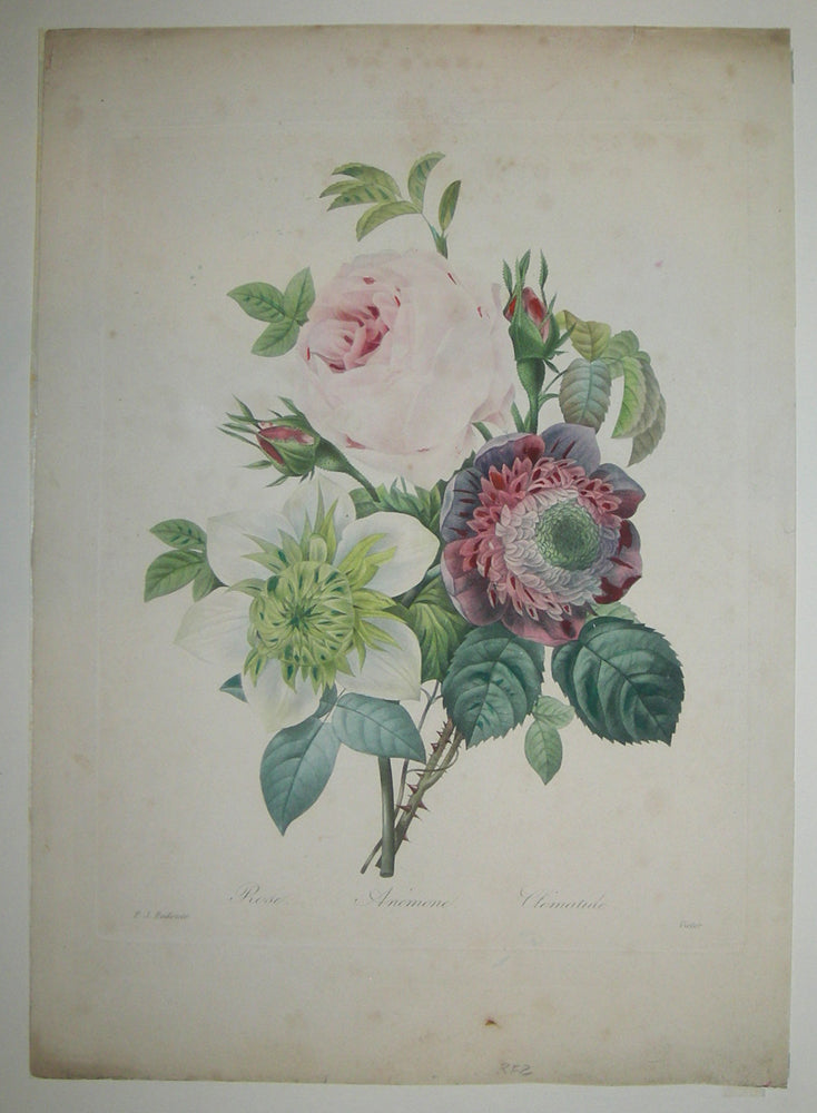 Rose, Anémone, Clématide.