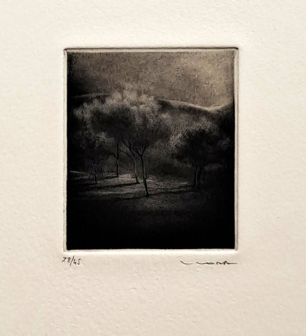 WODA Albert Arbres. Gravure.