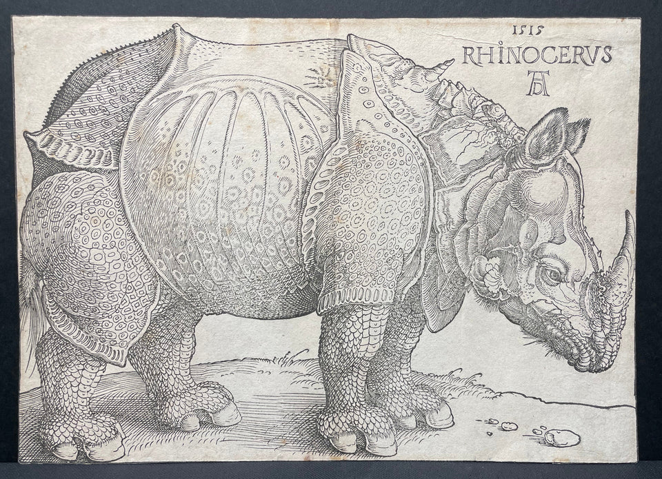 Albrecht Dürer, Le Rhinocéros