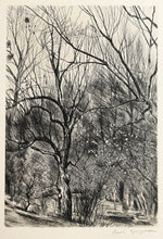 Charger l&#39;image dans la galerie, [Bord de rivière].  1947.
