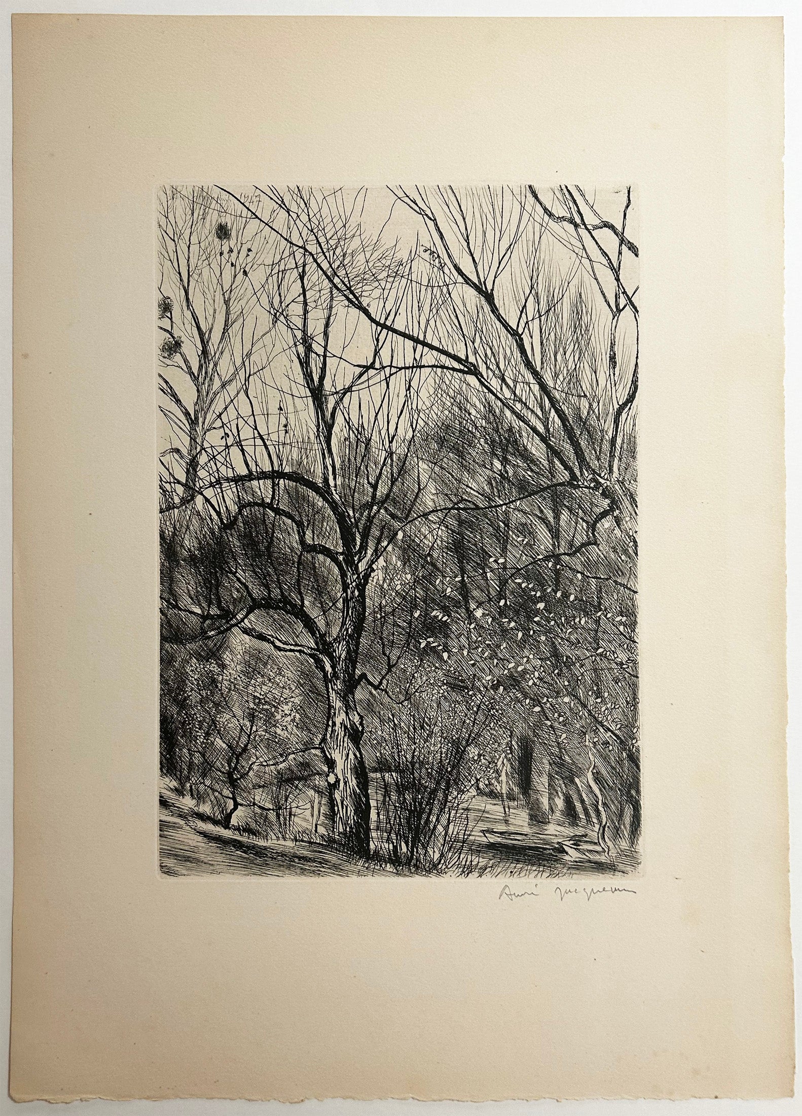 [Bord de rivière].  1947.