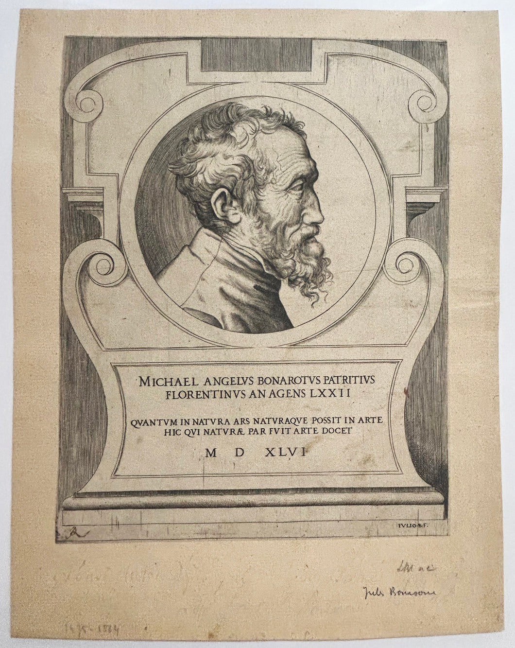 Portrait de Michel-Ange, de profil droit. 1546.