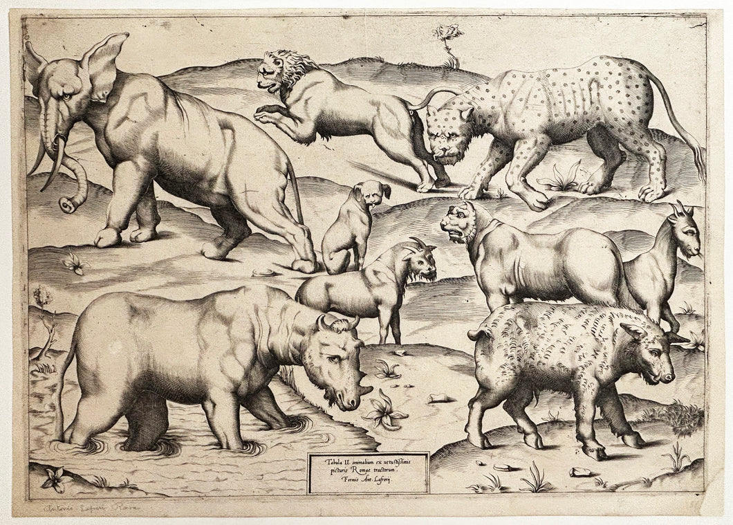 [Les Animaux: Lion, Eléphant, Léopard…].  1547.