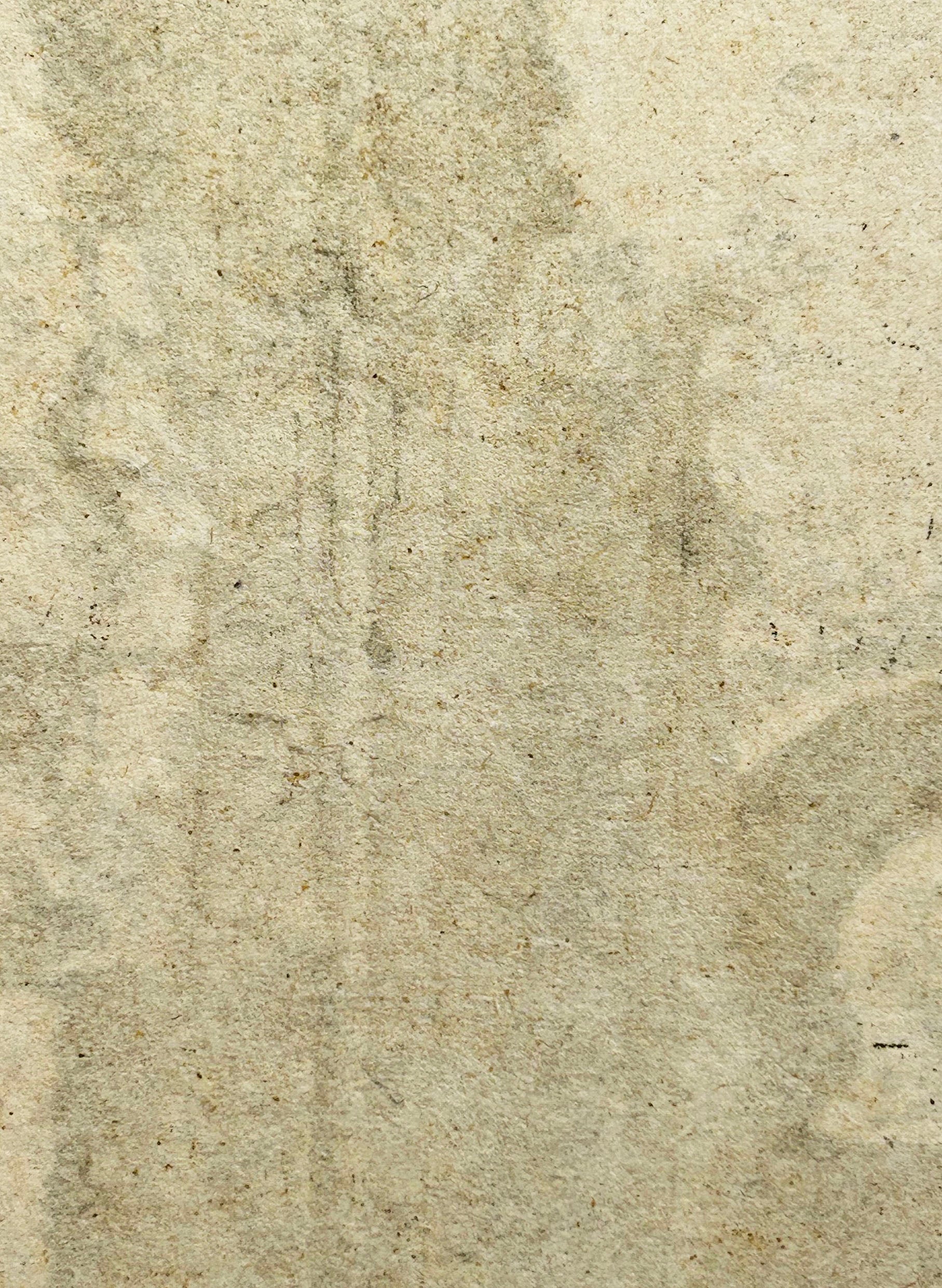 Antiquatum incognitarum scenographia [Vue de ruines, probablement les thermes de Caracalla]. 1561.