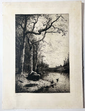 Charger l&#39;image dans la galerie, Marais de la Burbanche (Grande planche).  c.1876-1877.
